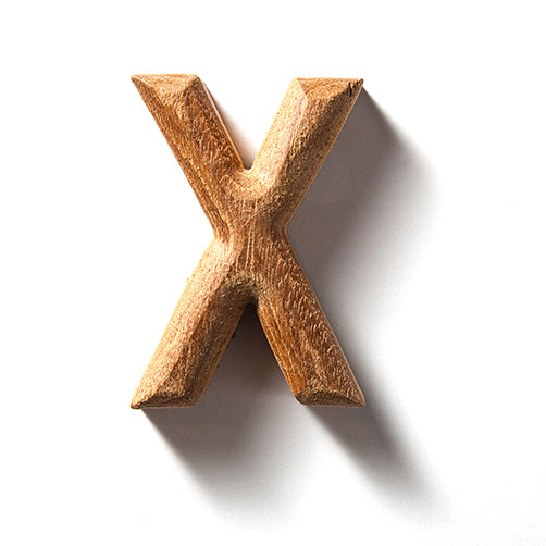 The Real Estate Settlement Procedures Act and Regulation X