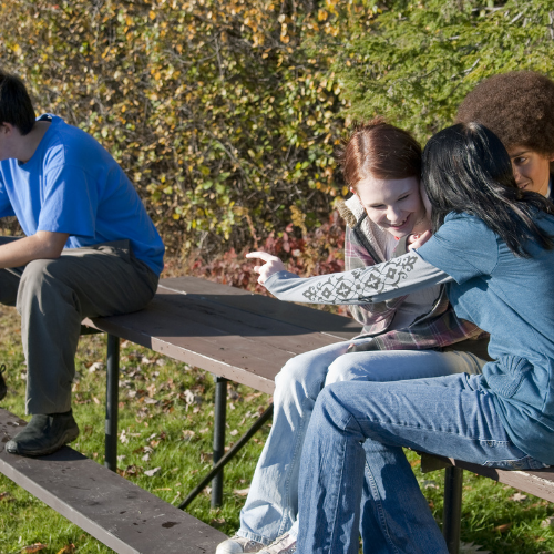 Student Bullying: Legal Considerations For K-12 Schools