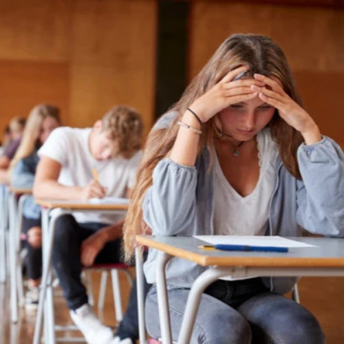 How To Comply With The McKinney-Vento Act